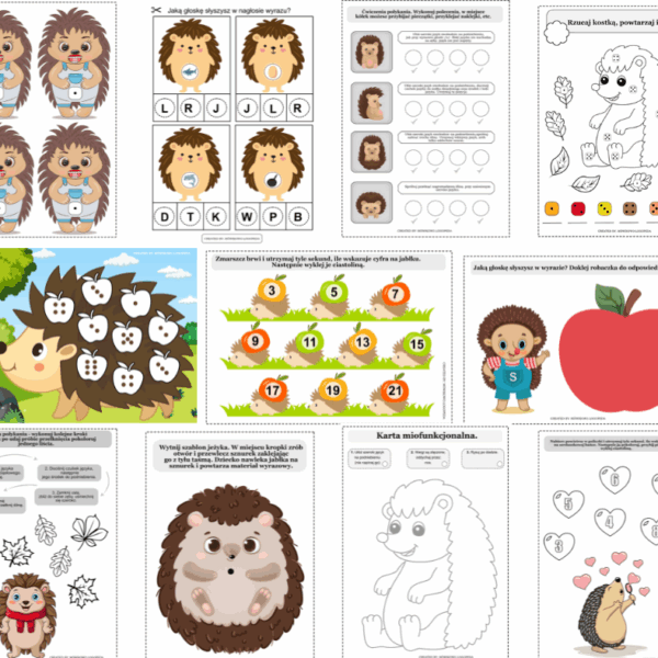 Zestaw zajęciowy JEŻ