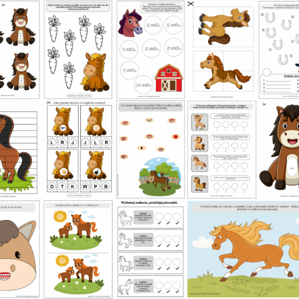 Zestaw zajęciowy Koń