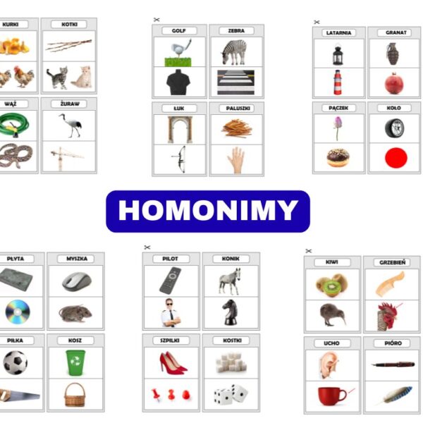 Homonimy